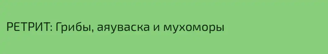 РЕТРИТ: Грибы, аяуваска и мухоморы